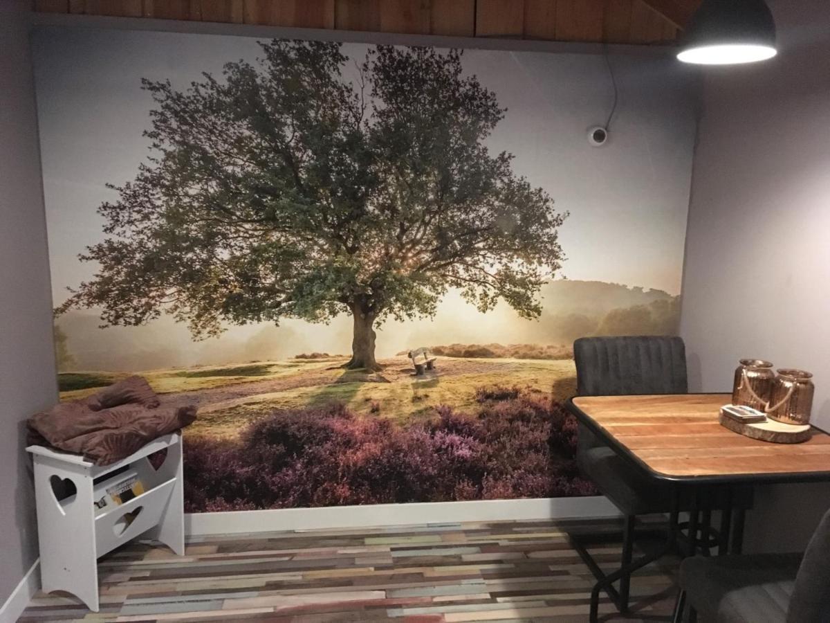 Veluwse Bos En Heide Studio Otterlo Exteriör bild